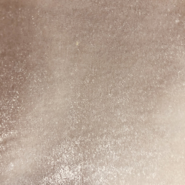 02042206-5589
