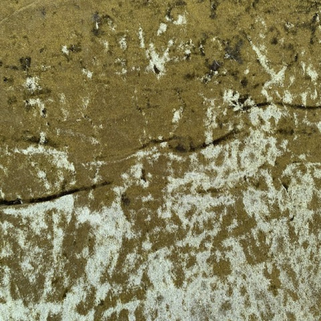 02042216-13035