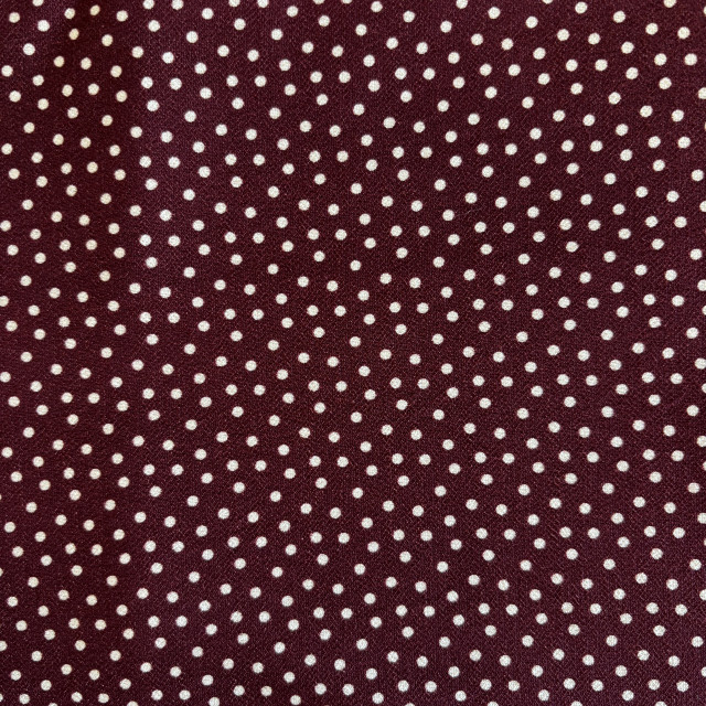 04100053-19819