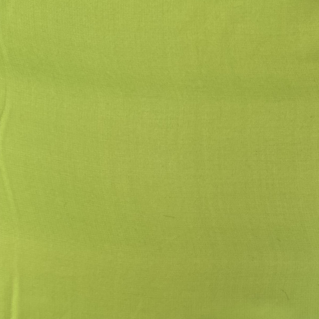 04110006-17067