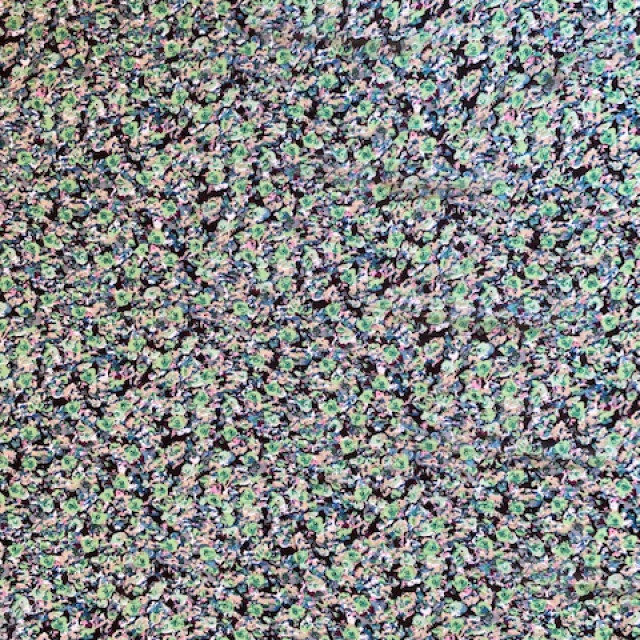 04110089-15586