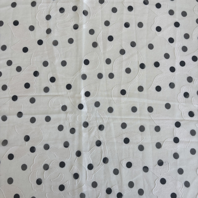 04110117-19674