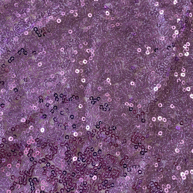 04130183-12819