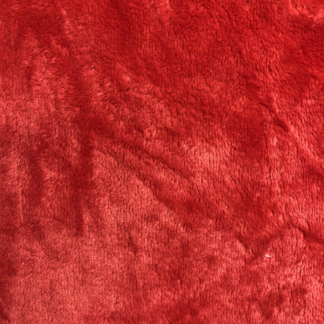 08020013-3559
