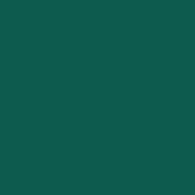 RENDER TT-065 # 51 EVERGREEN