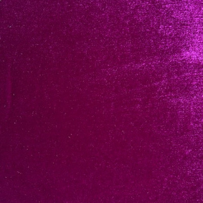 PLIS S LUX # 1916 WILD ASTOR