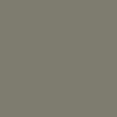 RENDER SINGL # 41 VERTIVER GREEN