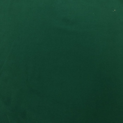 SINGL TT-07 LIKRA E # 51 EVERGREEN