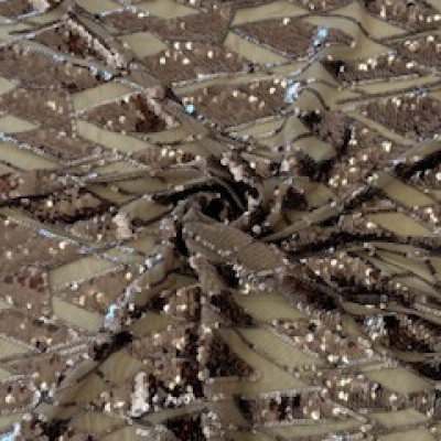 SLJOKICE S 92334 GOLD