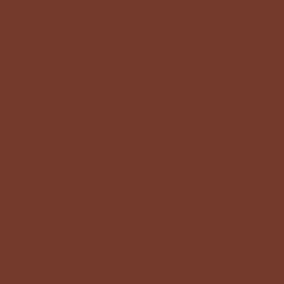 RENDER TT-100 # 2889 BRANDY BROWN