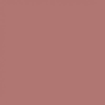 RENDER TT-100 # 1317 DESERT SAND
