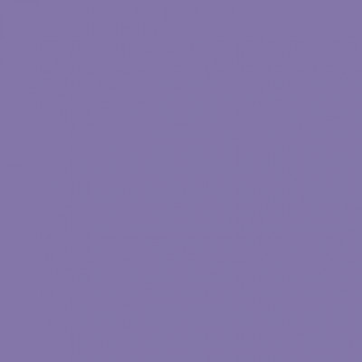 RENDER TT-100 # 1450 PAISLEY PURPLE