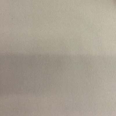 VELUR VIS RBS-00584 # 1 MOONBEAM