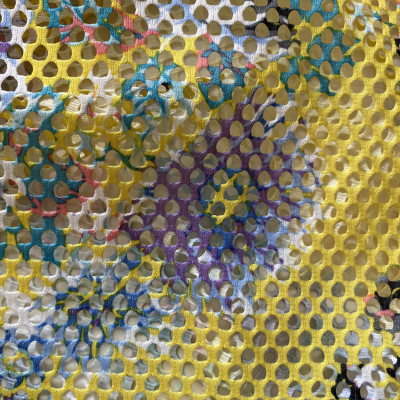 CIP S NET PRT 0532 DSN # FLOWER # YELLOW
