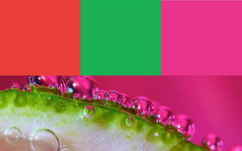 Trend palette