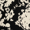 03041114-12873 - KEPER STRECH SATEN PRT ABSTRACT FLOWERS BLACK širine 1.4 m, gramaže 197 g/m2. Satenizirana pamučna tkanina sa printom, za svečane komlete, odela.