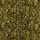 LACE